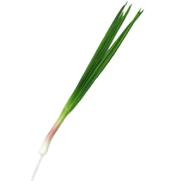 Scallion Celery Model Manufacturer Faux Vegetable Props