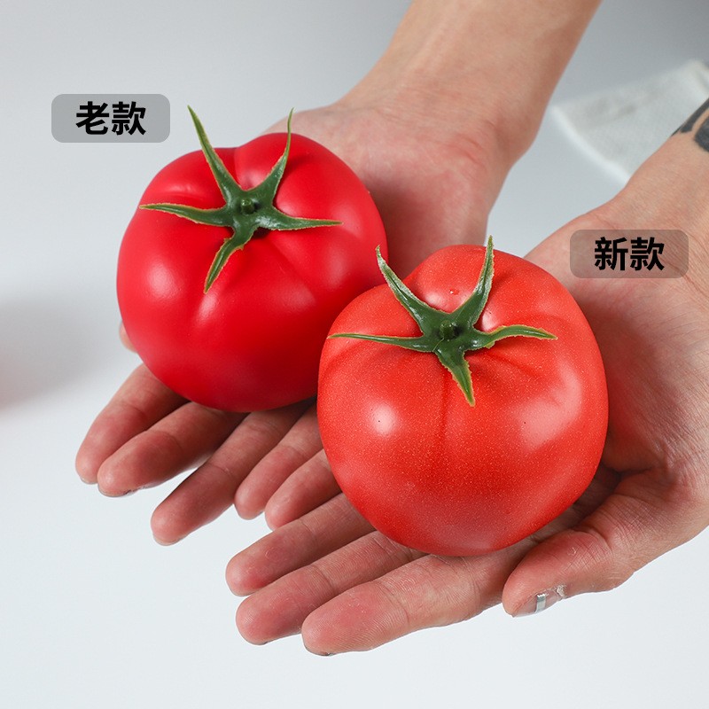 Foam Tomato Model Manufacturer Childrens Teaching Aid