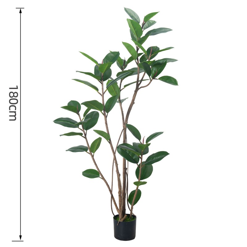 Rubber Fig Potted Plant Factory K Design
