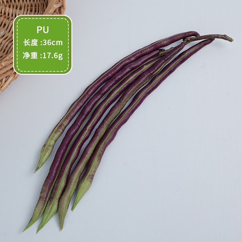 Zucchini Bean Sprouts Model Factory Photography Props