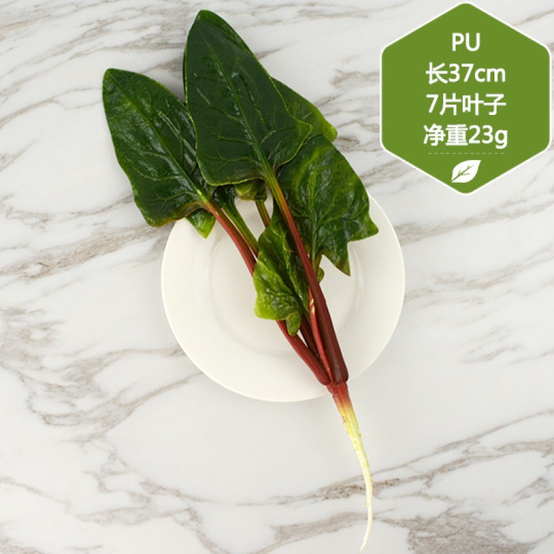 Zucchini Bean Sprouts Model Factory Photography Props