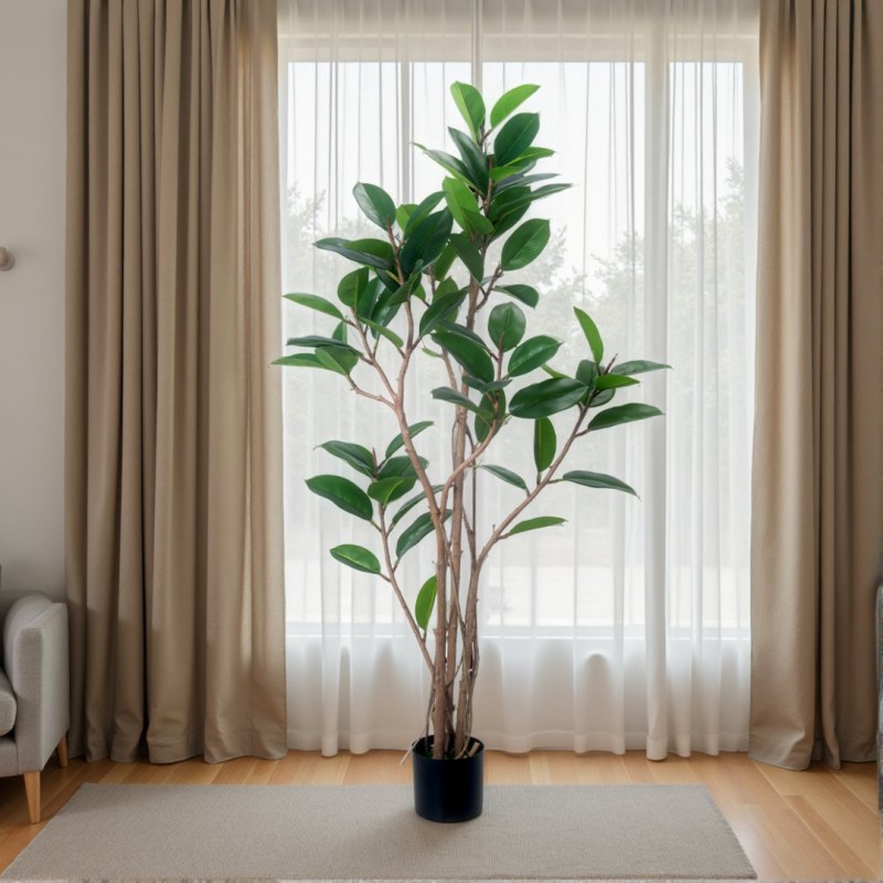 Rubber Fig Potted Plant Factory K Design