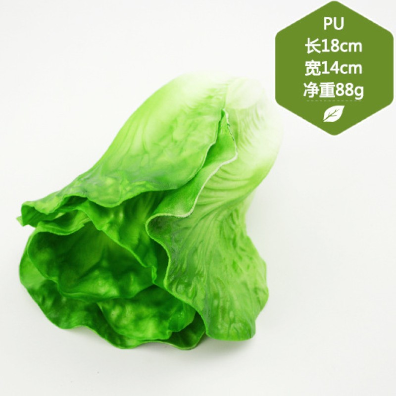 Ginger Lettuce Model Manufacturer Green Beans Educational Toys
