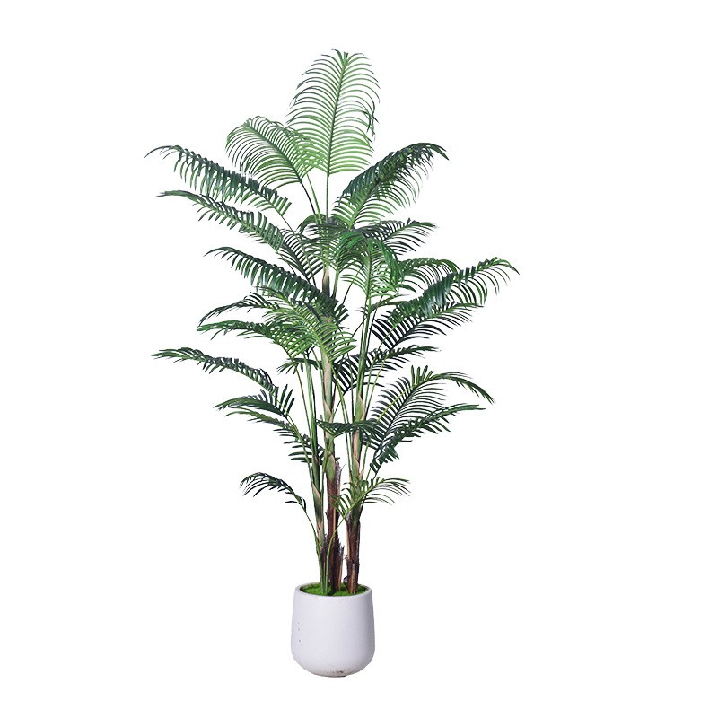 Chrysalidocarpus Potted Plant Manufacturer I Design