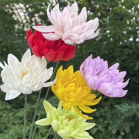 Lotus Soap Flower Manufacturer Handmade Bouquet