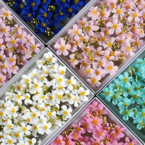 Frangipani Soap Flower Factory Birthday Gift