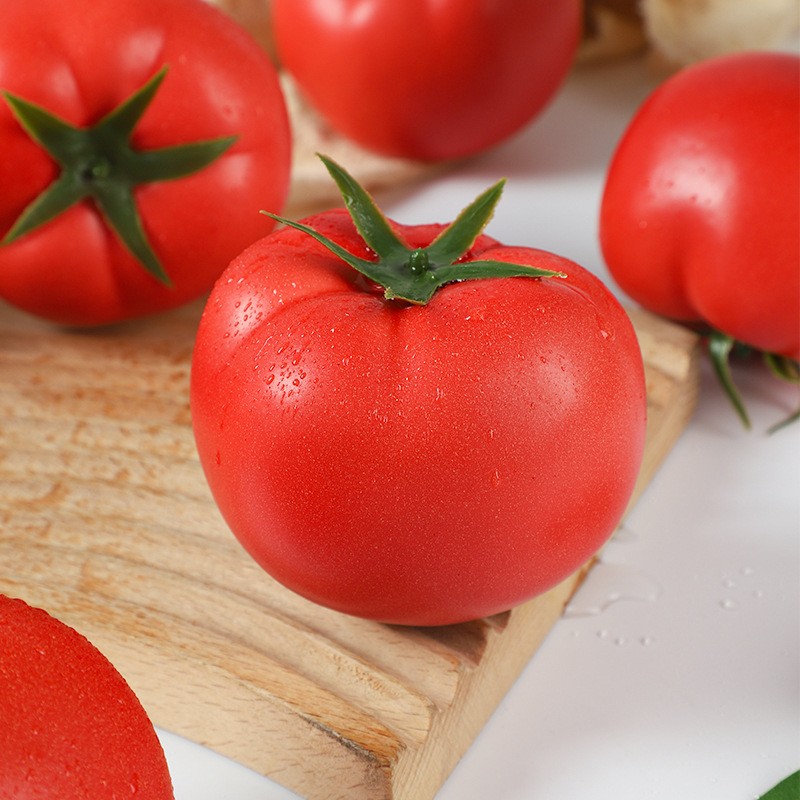 Foam Tomato Model Manufacturer Childrens Teaching Aid