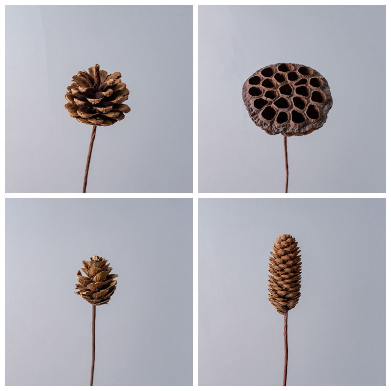 Dried Flower Wholesaler Artificial Decoration