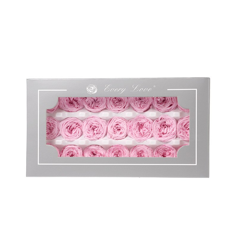 Austin Rose Factory Home Decoration