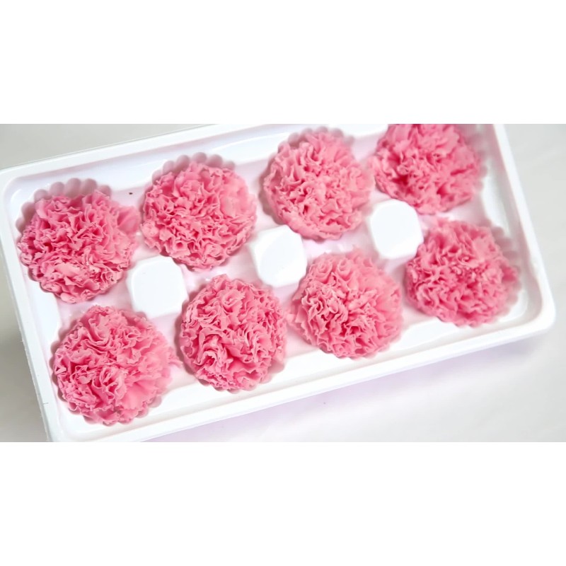 Preserved Carnation Factory Home Wedding Decoration