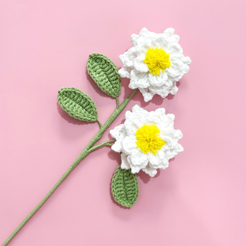 Knitted Fruit Flower Manufacturer Crochet Gift