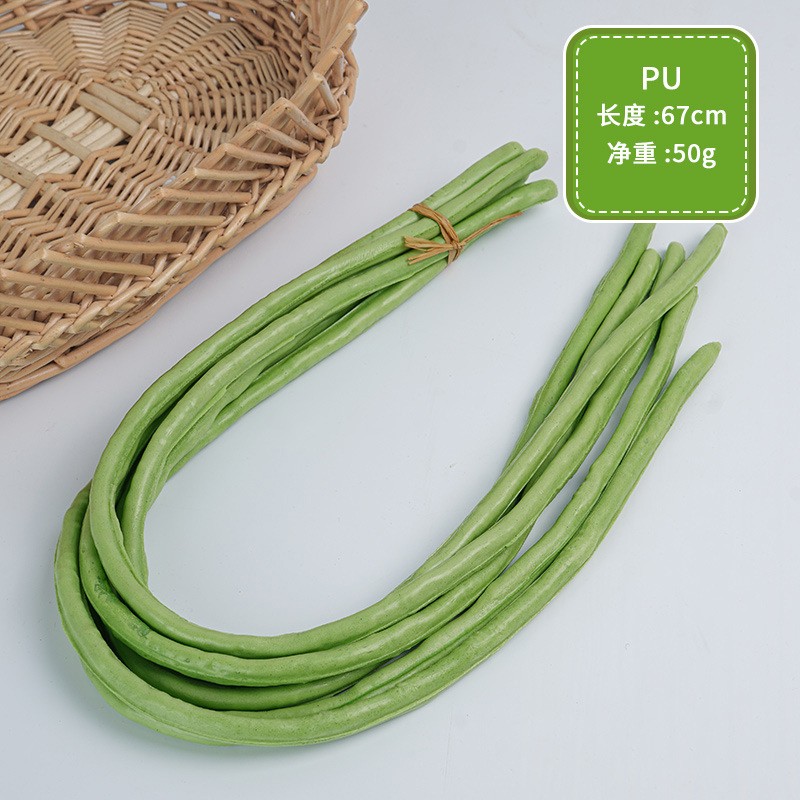 Zucchini Bean Sprouts Model Factory Photography Props