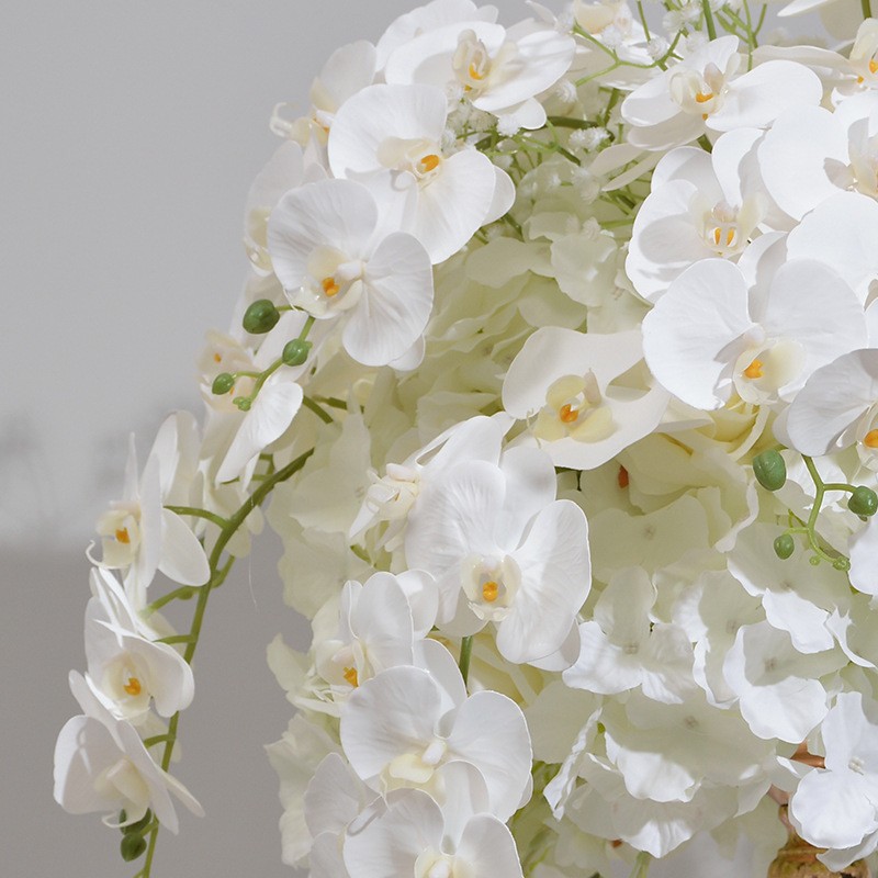 Butterfly Orchid Ball Factory Display Window