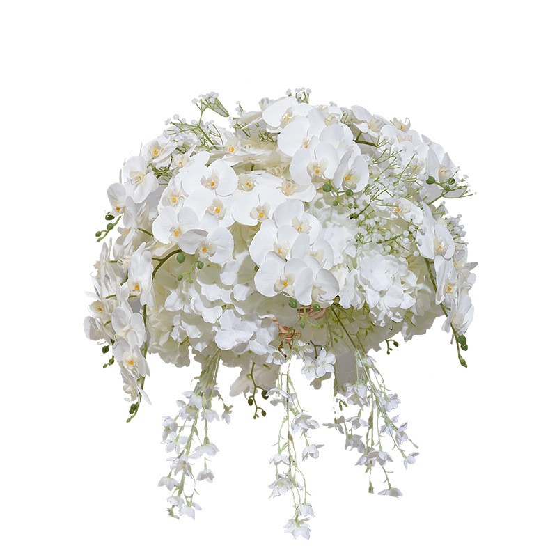 Butterfly Orchid Ball Factory Display Window