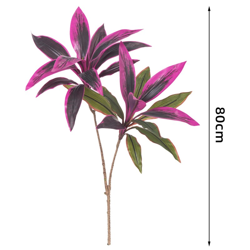 Brazilwood Potted Plant Factory Single Branch