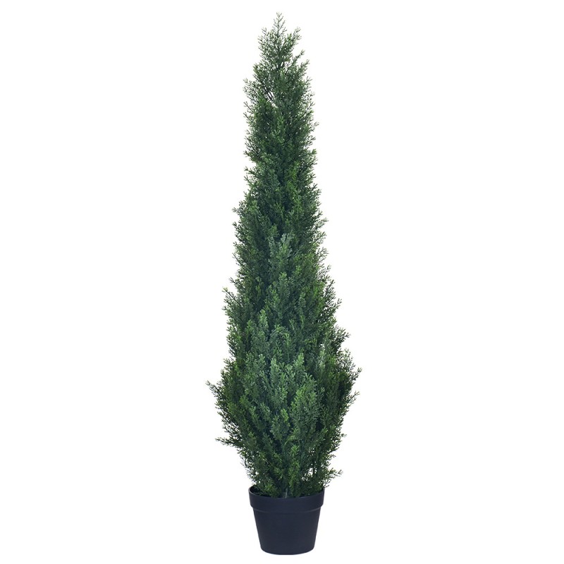 Pine Cypress Potted Plant Factory Tree Decoration