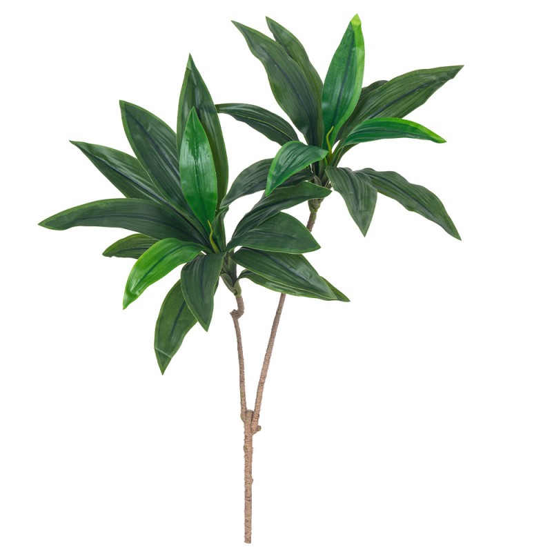 Brazilwood Potted Plant Factory Single Branch