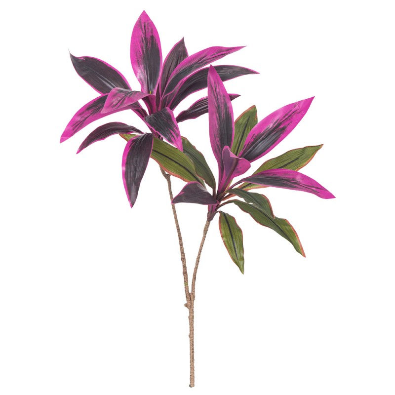 Brazilwood Potted Plant Factory Single Branch