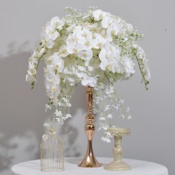 Butterfly Orchid Ball Factory Display Window