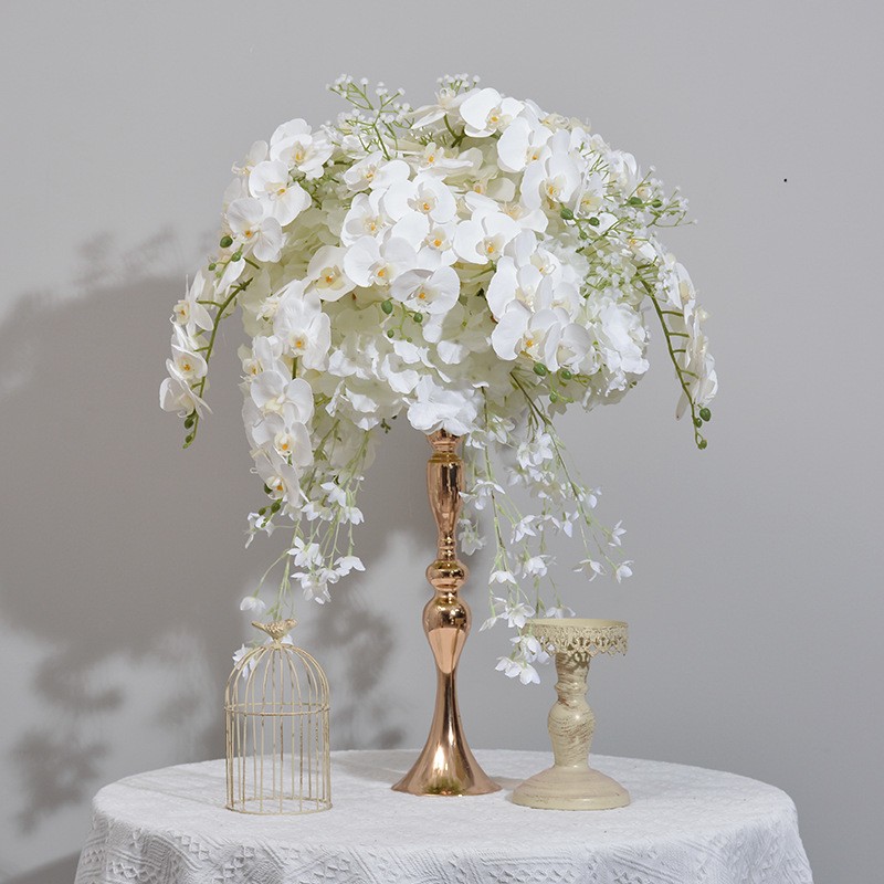 Butterfly Orchid Ball Factory Display Window