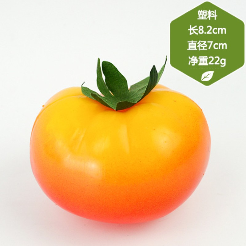 Foam Tomato Model Manufacturer Childrens Teaching Aid