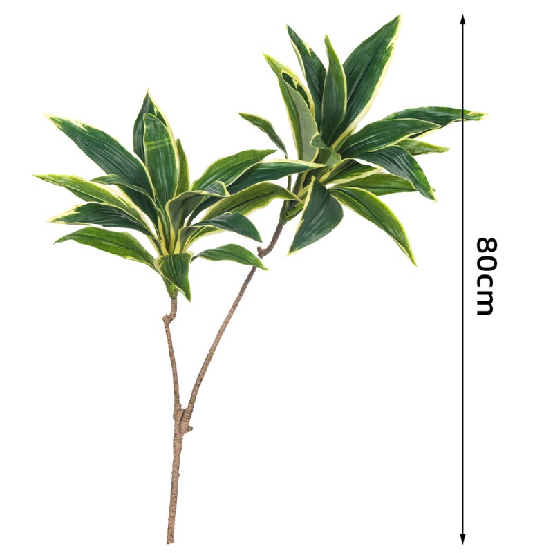 Brazilwood Potted Plant Factory Single Branch