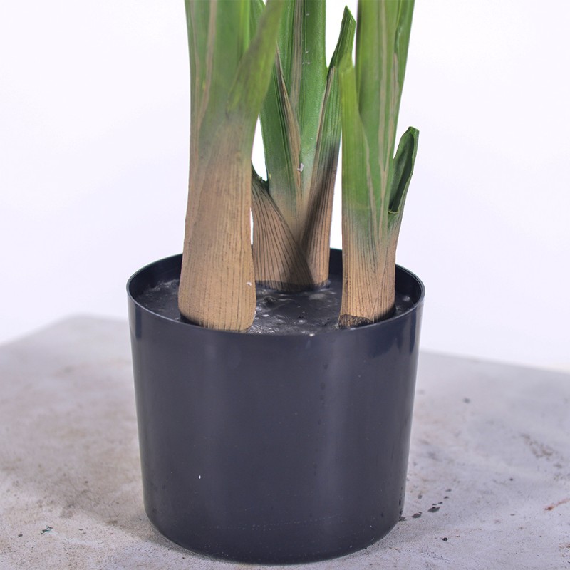 Turtle Shell Leaf Potted Plant Manufacturer M Design