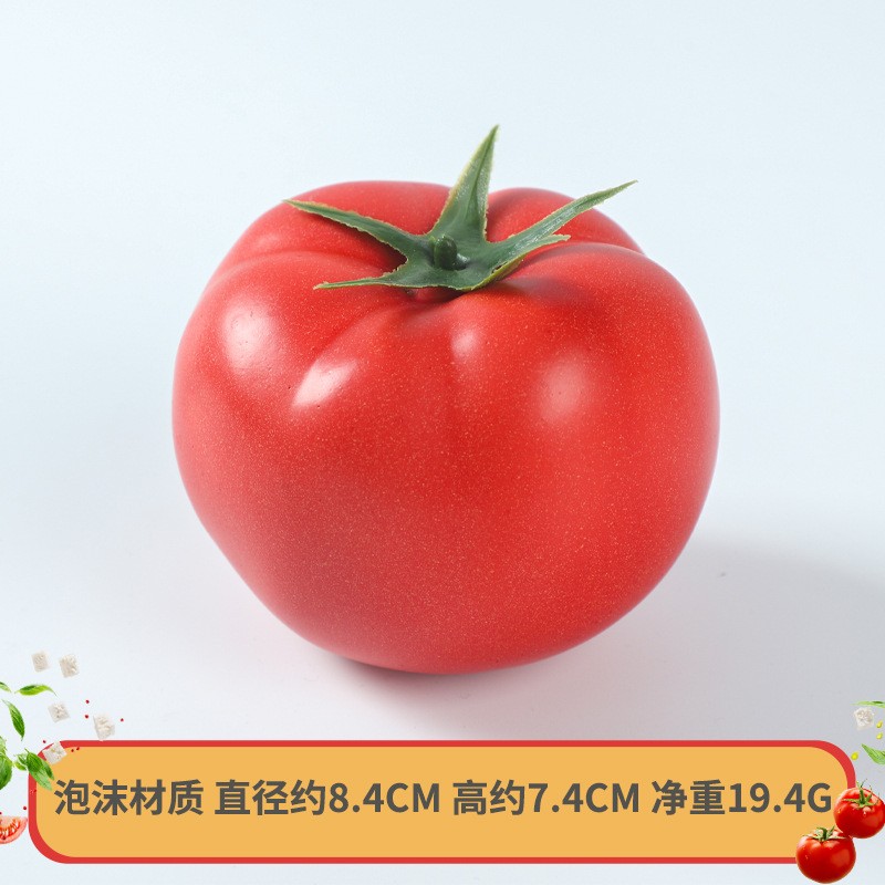 Foam Tomato Model Manufacturer Childrens Teaching Aid
