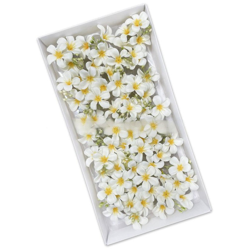 Frangipani Soap Flower Factory Birthday Gift