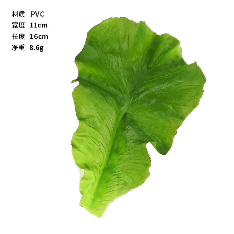 Ginger Lettuce Model Manufacturer Green Beans Educational Toys