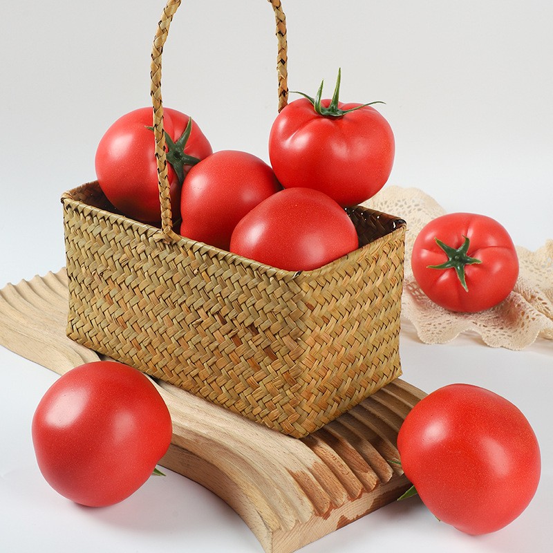 Foam Tomato Model Manufacturer Childrens Teaching Aid