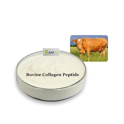 Bovine Collagen Powder Manufacturer - Hydrolyzed Beef Collagen Peptide
