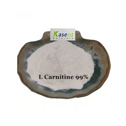 L-Carnitine HCL Manufacturer - Bulk Raw Material Powder