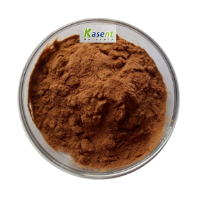 Green Coffee Bean Extract Manufacturer - Water Soluble Powder