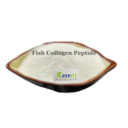 Marine Collagen Manufacturer - Bulk Hydrolyzed Fish Peptide