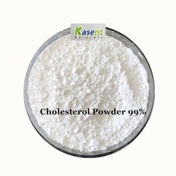 Cholesterol Powder Manufacturer - 99% Raw Material
