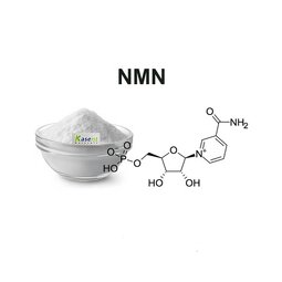 NMN Powder Manufacturer - Pure NMN Supplement Bulk 1kg
