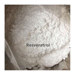 Grape Skin Extract Manufacturer - 20% Resveratrol Organic