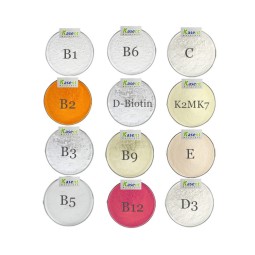 Vitamin B Powder Manufacturer - B1 B2 B3 B5 B6 B7 B9 B12 Blend