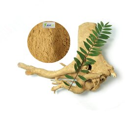 Tongkat Ali Extract Supplier - Organic 1% 2% Eurycomanone Powder