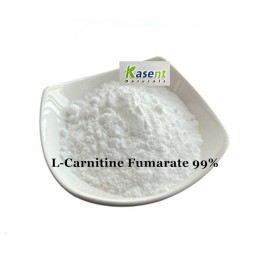 L-Carnitine Fumarate Manufacturer - 98% Pure Weight Management