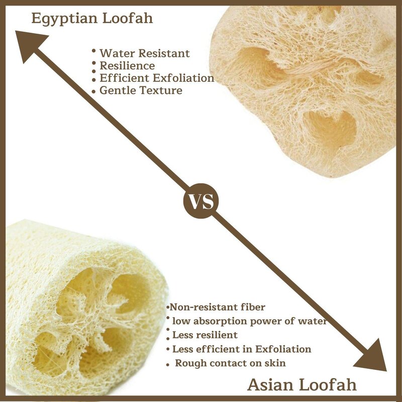 Loofah Sponge Manufacturer - Natural Raw Material for Dish & Body Scrub