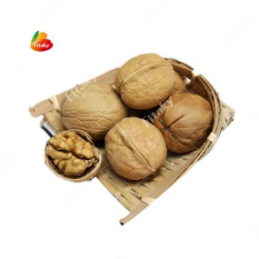 Almond Nut - OEM New Crop Almond Supplier