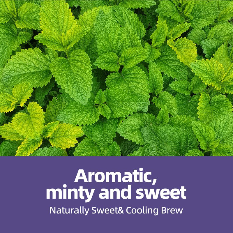 Tea Bag - Manufacturer Green Lotus Leaf Orchid Mint Triangular Herbal