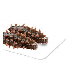 Dried Sea Cucumber Supplier - Wholesale Gift Box Elderly