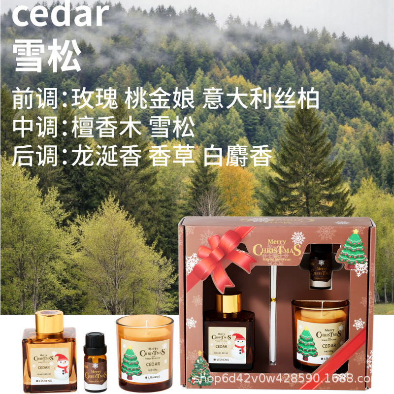 Reed Diffuser Manufacturer - Handmade Modern Flameless Aromatherapy Liquid, Scented