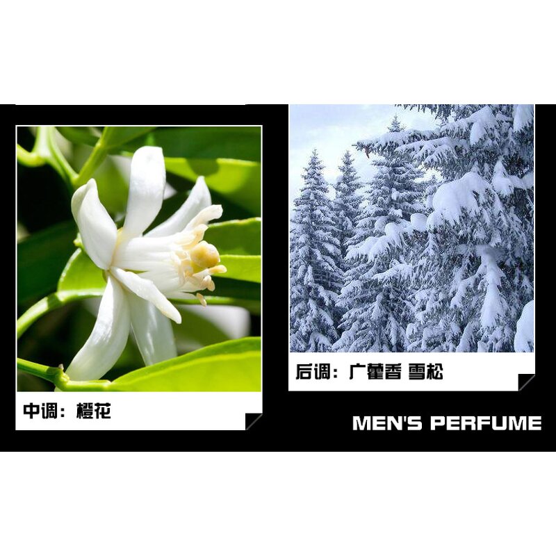 Perfume EDT - Manufacturer 100mL Sport Pour Homme Long-lasting OEM for Men