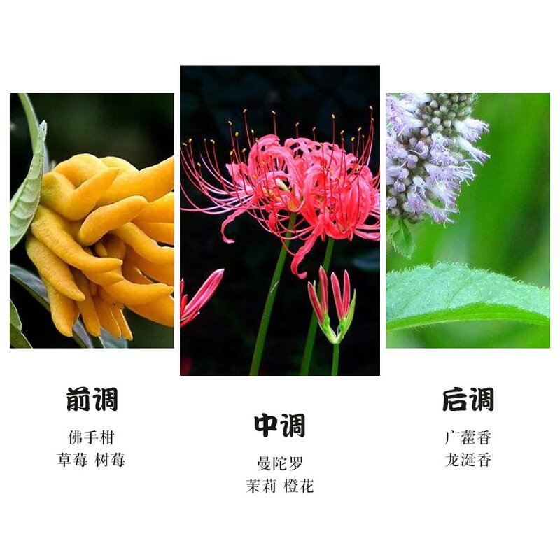 Perfume - Manufacturer 30mL Student Light Fresh Natural Floral Long-lasting Women