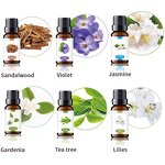 Essential Oil Set