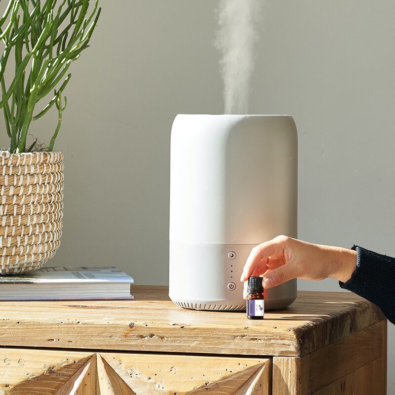 Essential Oil Manufacturer - Organic 10ml Green Tea for Ultrasonic & Plug-in Diffuser